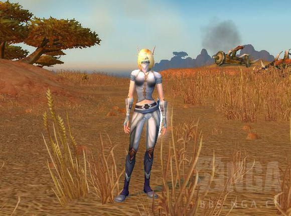 魔兽世界幻化隐藏装备大全,魔兽世界幻化装备卖掉还能幻化么