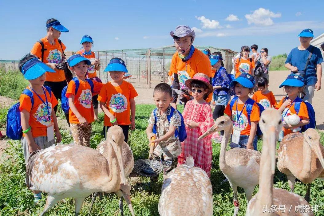 虎投发现｜愁带孩子去哪儿玩？玩翻天用极简模式做到日活用户一万