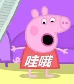 如何坐高铁去香港最全攻略来了,广州去香港费用最低的方法