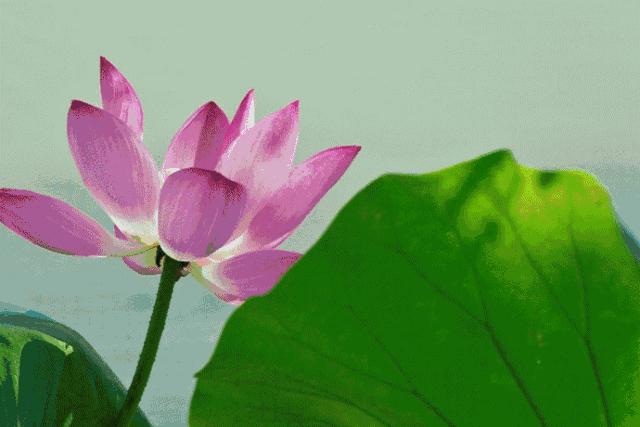 博乐出发3天去哪玩,博乐7天旅游线路