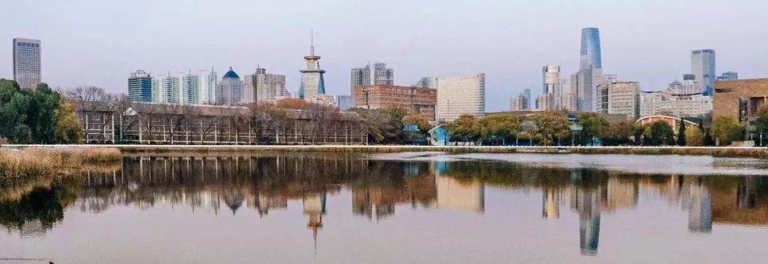 于数学中发现天大之美