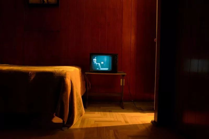 我说,和浪漫主义狗一起,我要留在这儿