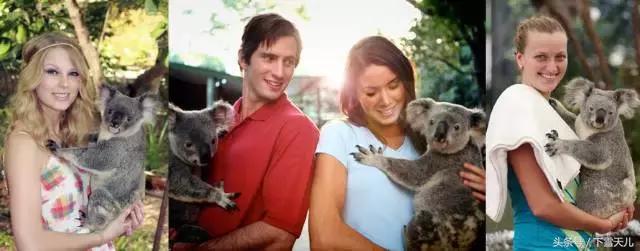 这个冬天让我们相约南半球的澳洲,旅行我的澳洲之旅