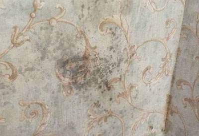 墙纸顽固污渍如何清洁,宝宝在墙纸乱涂乱画怎么办