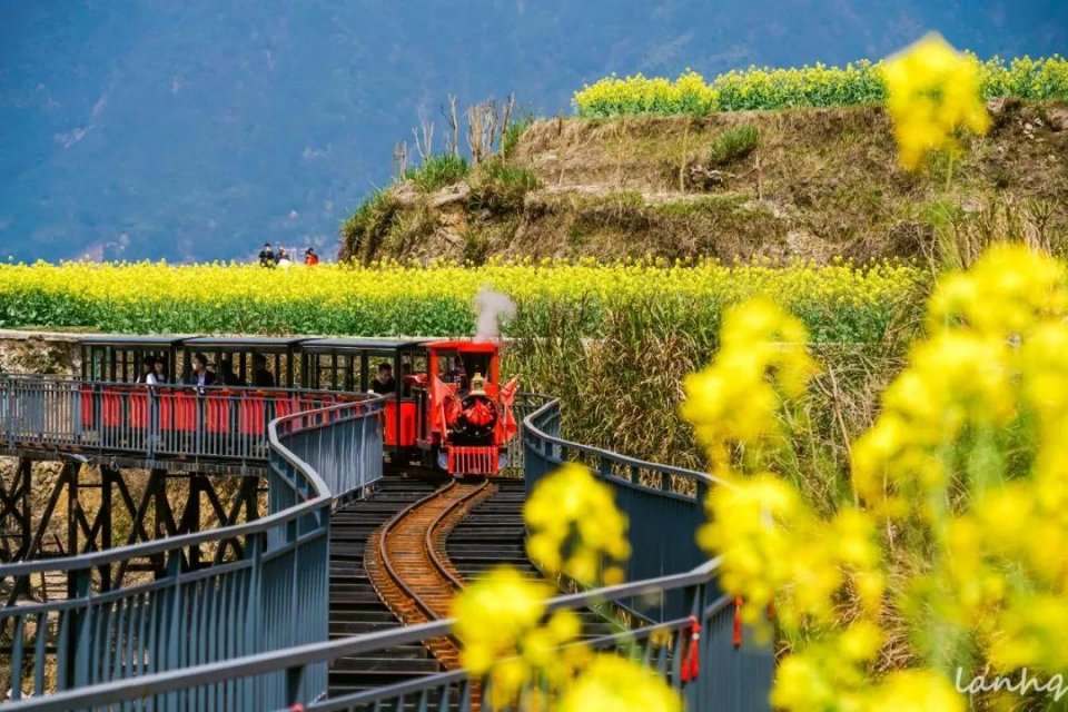 青田旅游区,浙江丽水青田旅游攻略