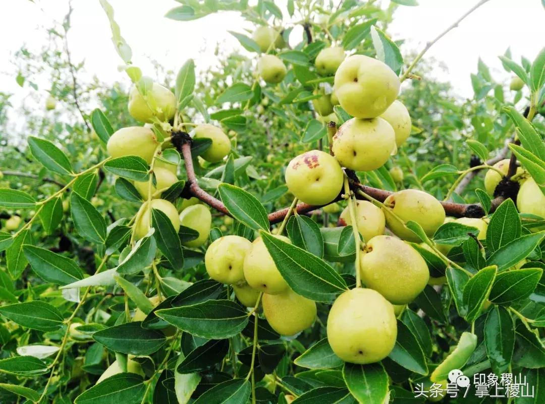 万步有约健步走的图片,万步有约健走视频动漫