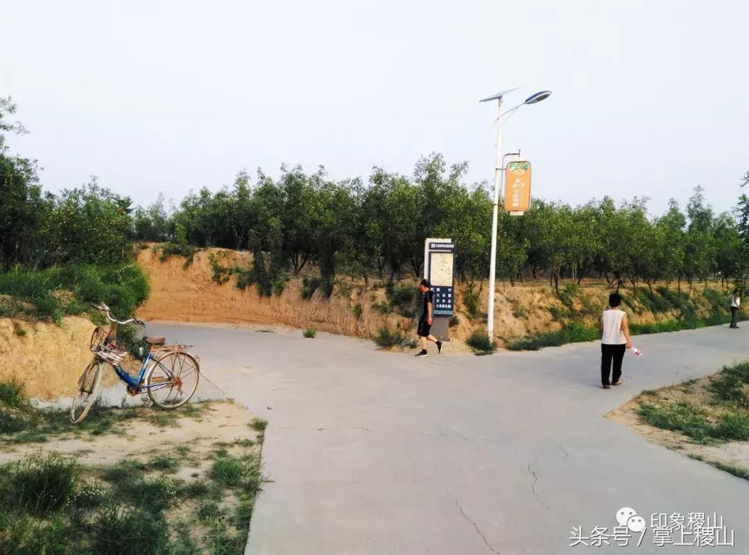 万步有约健步走的图片,万步有约健走视频动漫