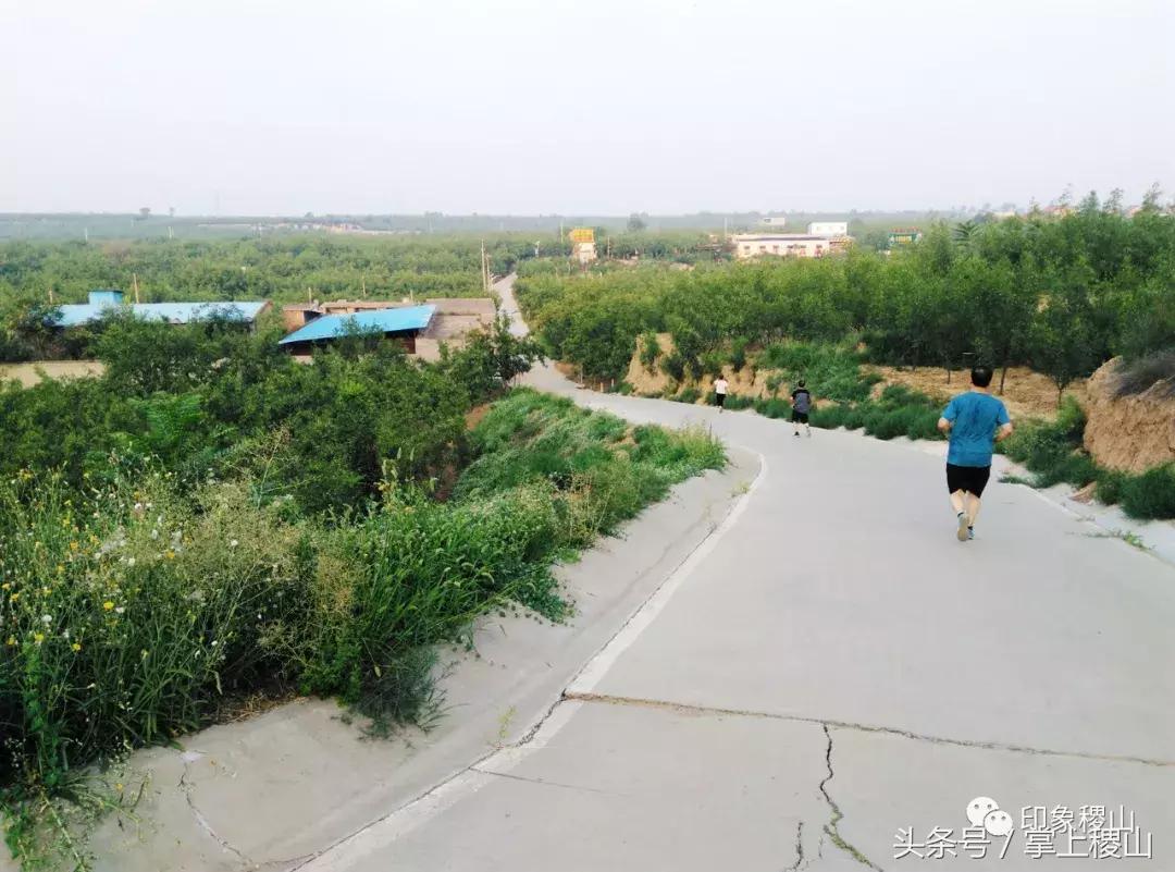 万步有约健步走的图片,万步有约健走视频动漫