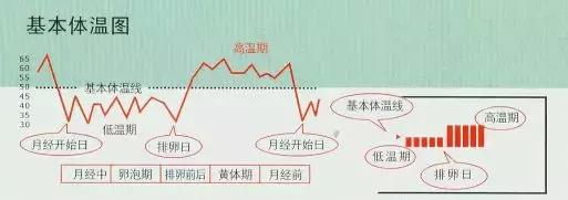 想尽快怀孕有什么好方法,想要快速怀上孩子