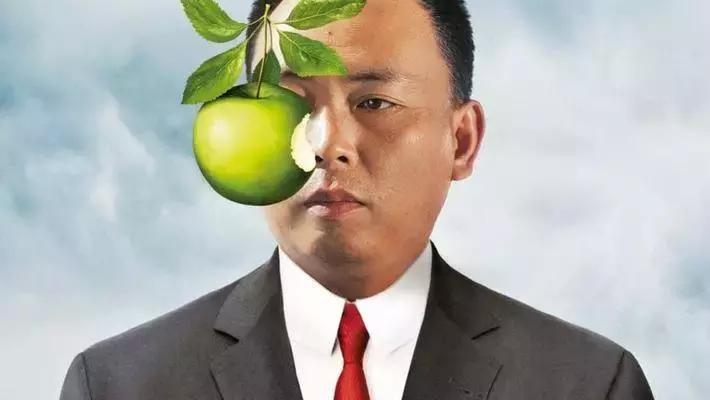 步步高oppovivo拼多多关系,段永平和oppovivo拼多多的关系