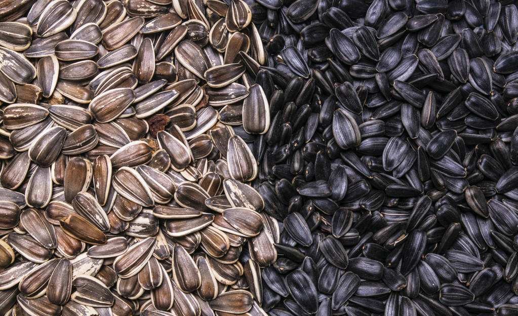 娌硅懙钁佃姳绫芥补,钁佃姳绫芥补鏄补钁靛仛鍑烘潵鐨勫悧