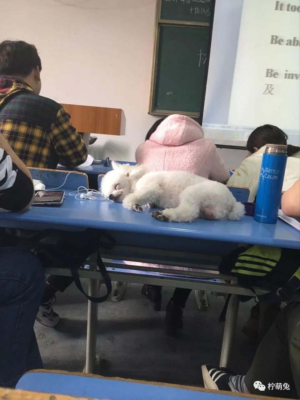 网友晒室友搞笑段子,室友糗事