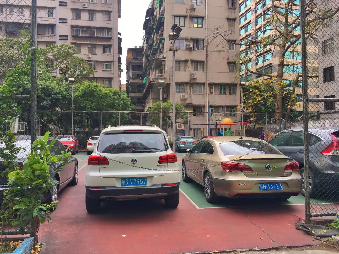 广州100元吃遍一条街,100元在广州能吃到什么