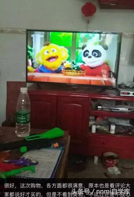 郑渊洁举报侵权盗版案,童话大王郑渊洁维权的作文