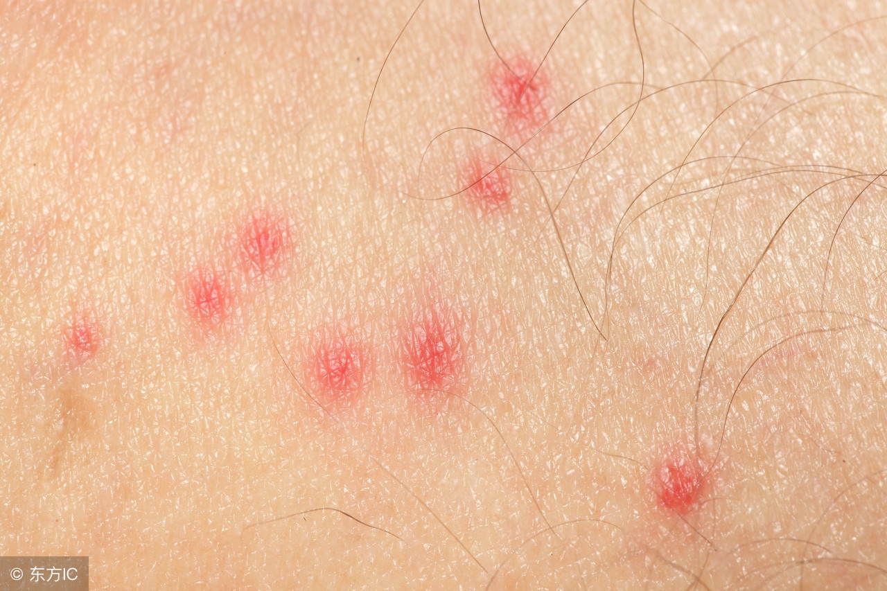 女子花12万代购发现是假货,代购被造谣卖假货