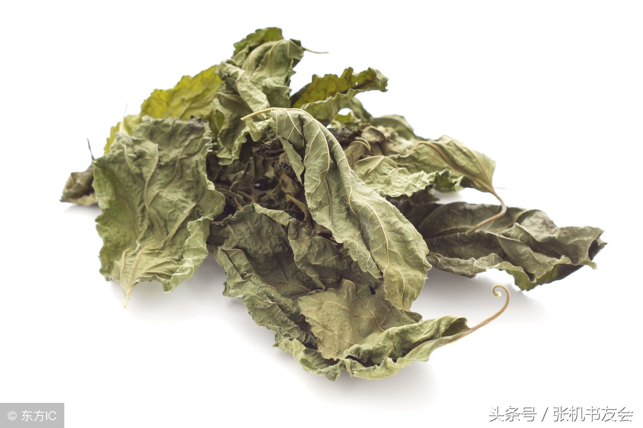 桑叶止汗治什么病,桑叶止汗的功效