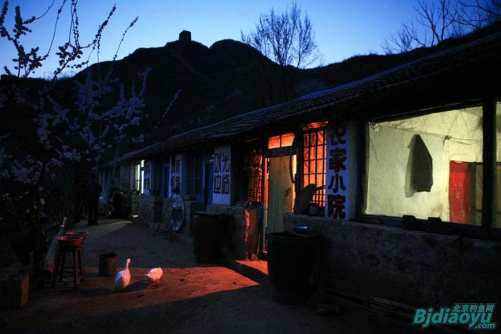 我的筏钓之乐全集,我的筏钓之乐完整版