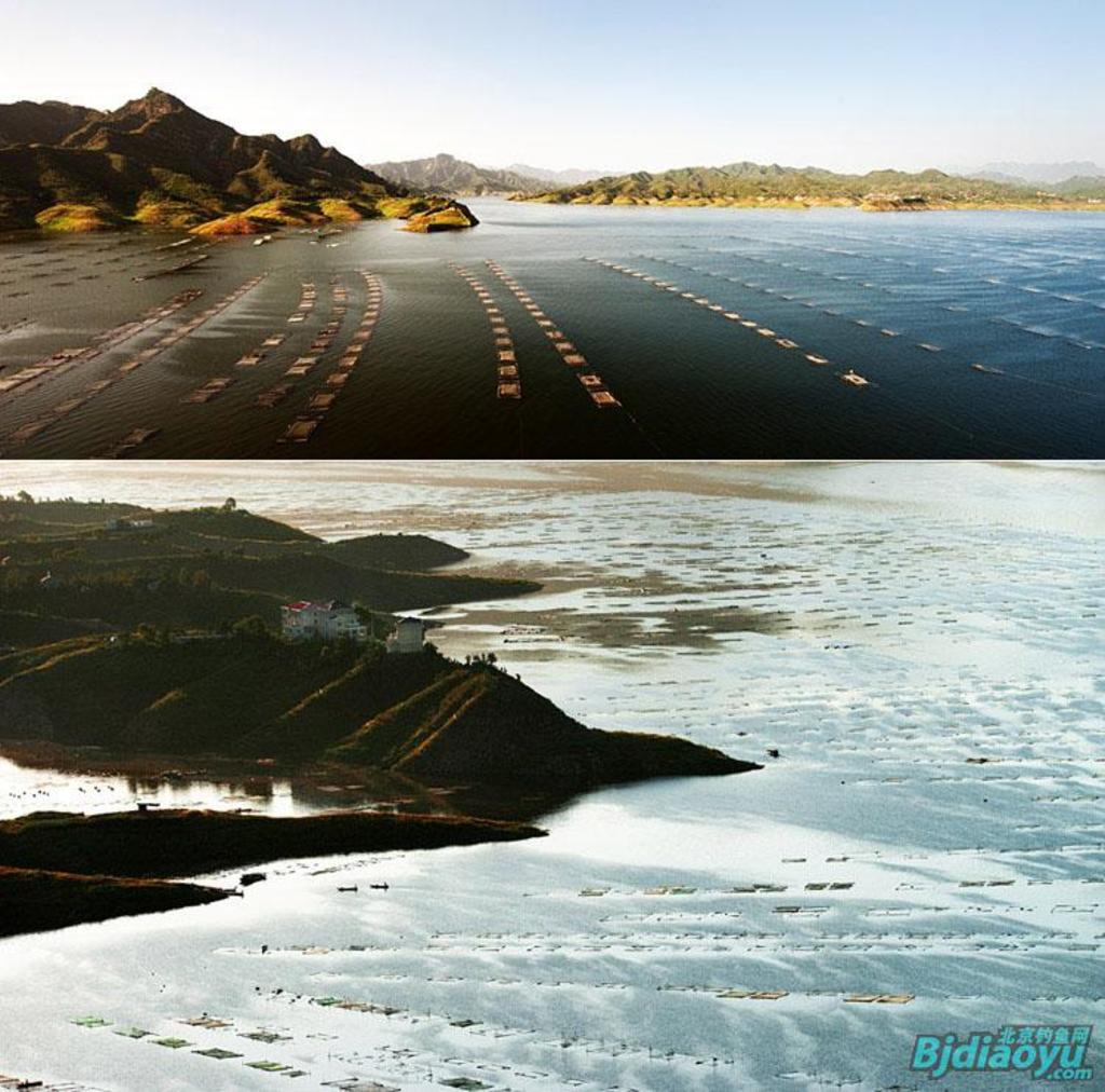 我的筏钓之乐全集,我的筏钓之乐完整版