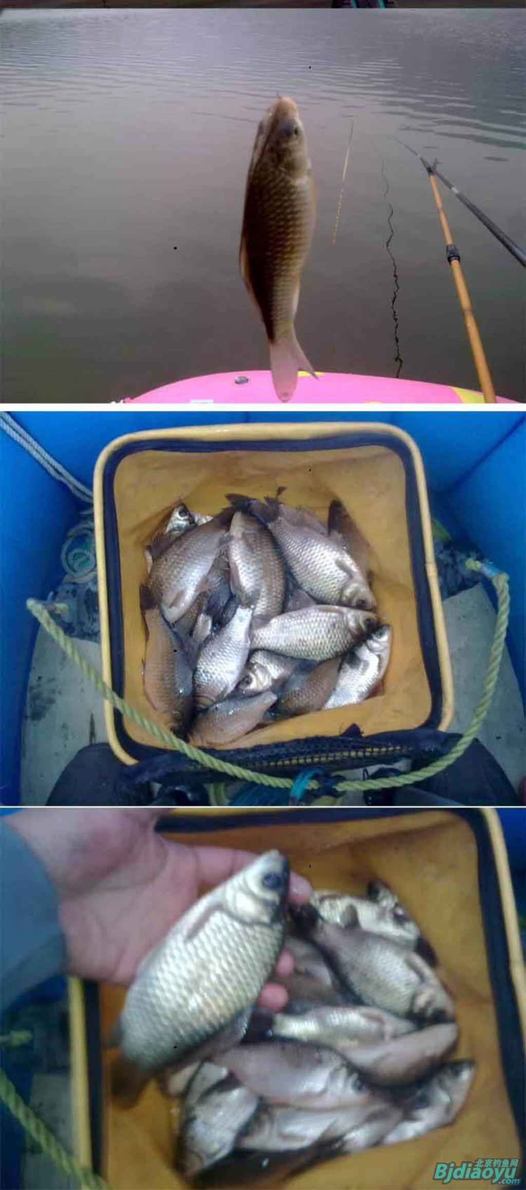 我的筏钓之乐全集,我的筏钓之乐完整版