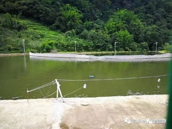 一起去看乡村风景,盐津柿子镇水平村
