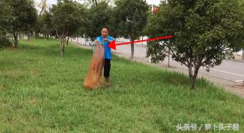 捕鱼神器可以抓到鱼吗,捕鱼神器真能抓到鱼吗