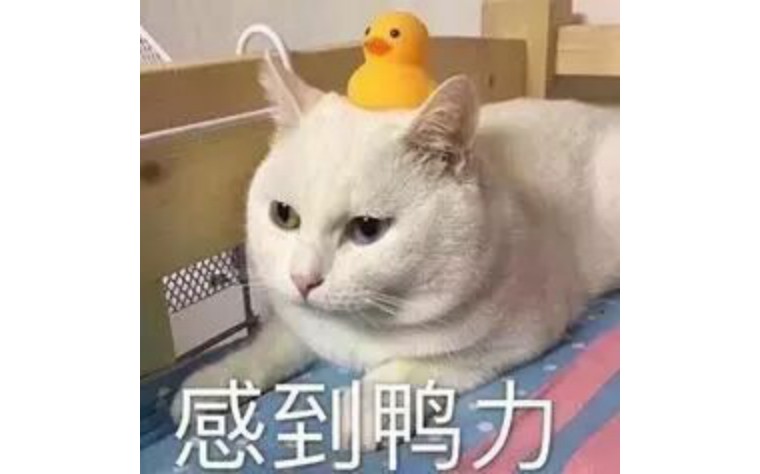 顽固小肚子怎么减,小肚子总是减不掉试试这三个动作