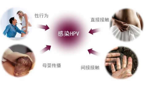 免疫系统疾病还能打hpv疫苗吗,得hpv提升免疫力最有效的方法