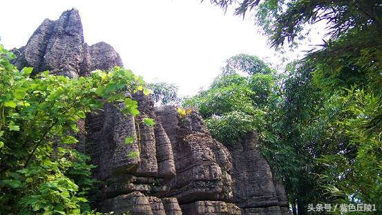 天下奇观—兴文石海，三绝共生（原创）