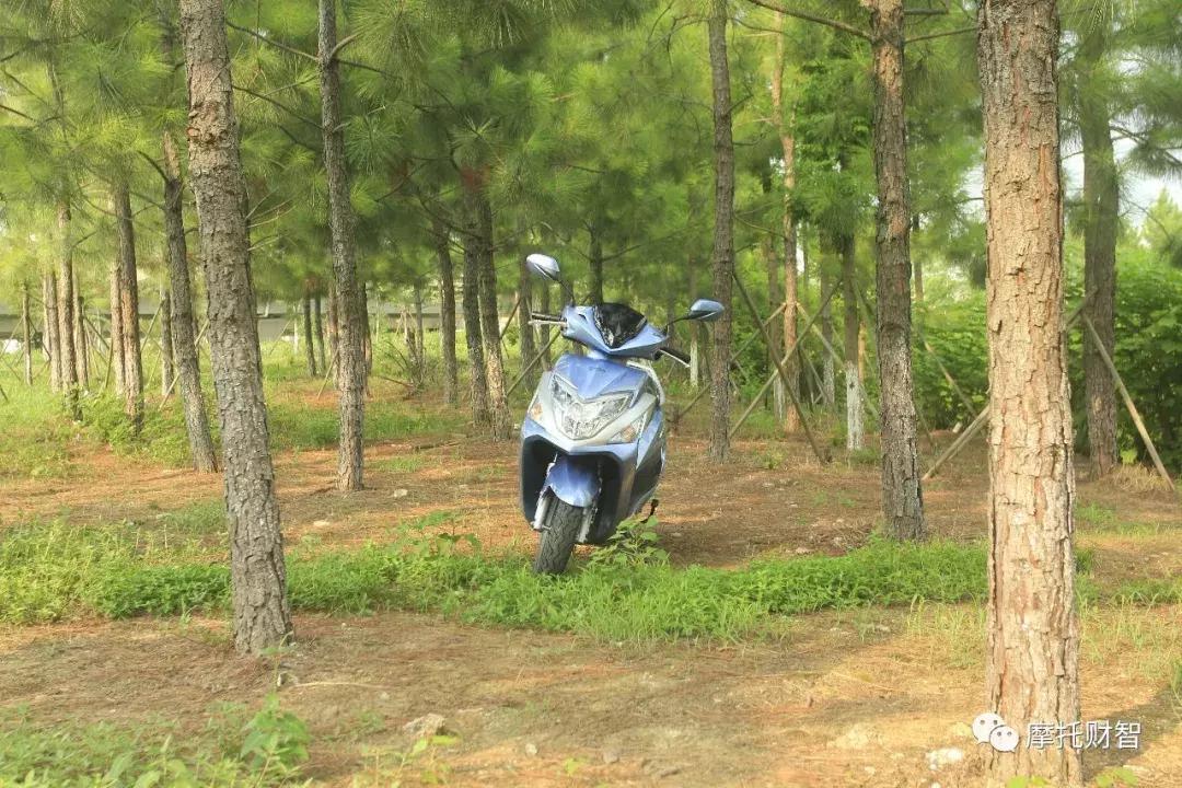 新大洲本田ex125踏板空间尺寸,新大洲本田2019款125踏板