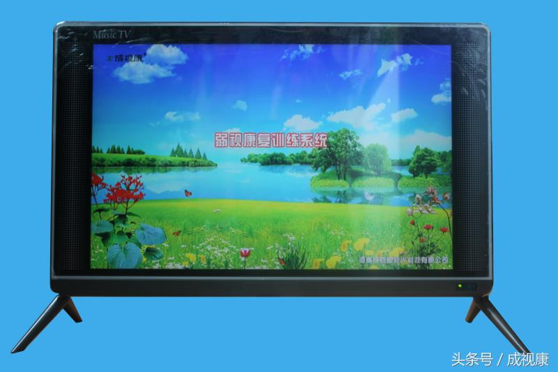 近视矫正仪视力恢复仪,成视康视力康复训练