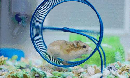 「哈哈」千万别看这些智障小说!哈哈哈哈哈哈哈哈哈哈哈……