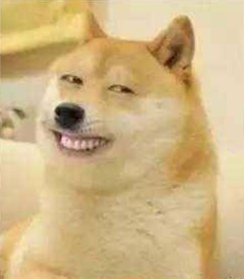 「哈哈」千万别看这些智障小说!哈哈哈哈哈哈哈哈哈哈哈……