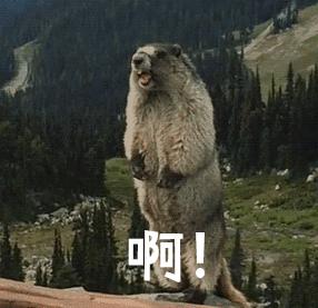 「哈哈」千万别看这些智障小说!哈哈哈哈哈哈哈哈哈哈哈……