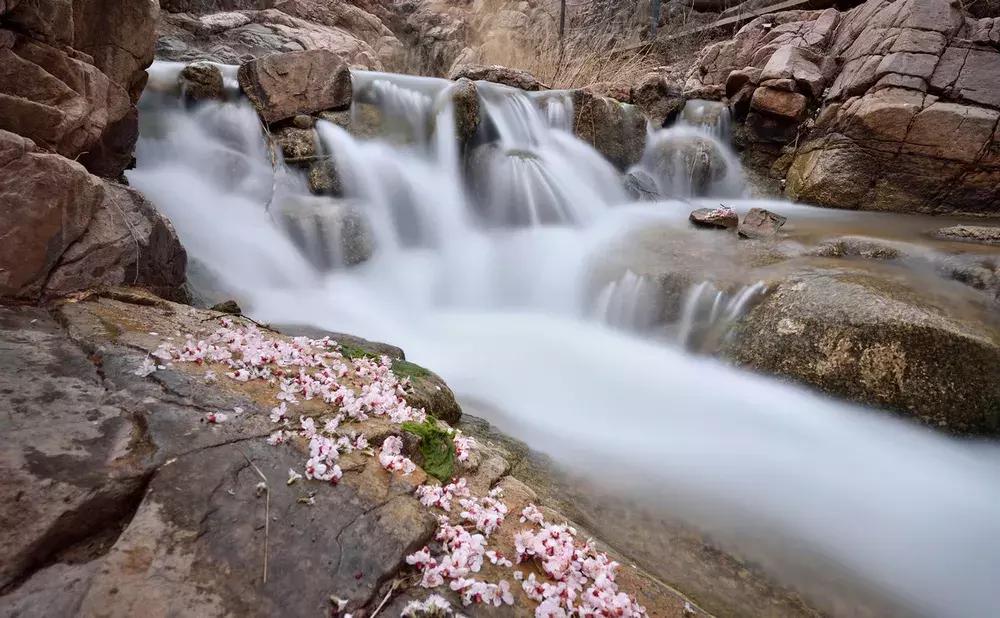 张家口民俗文化节,张家口的文化艺术节