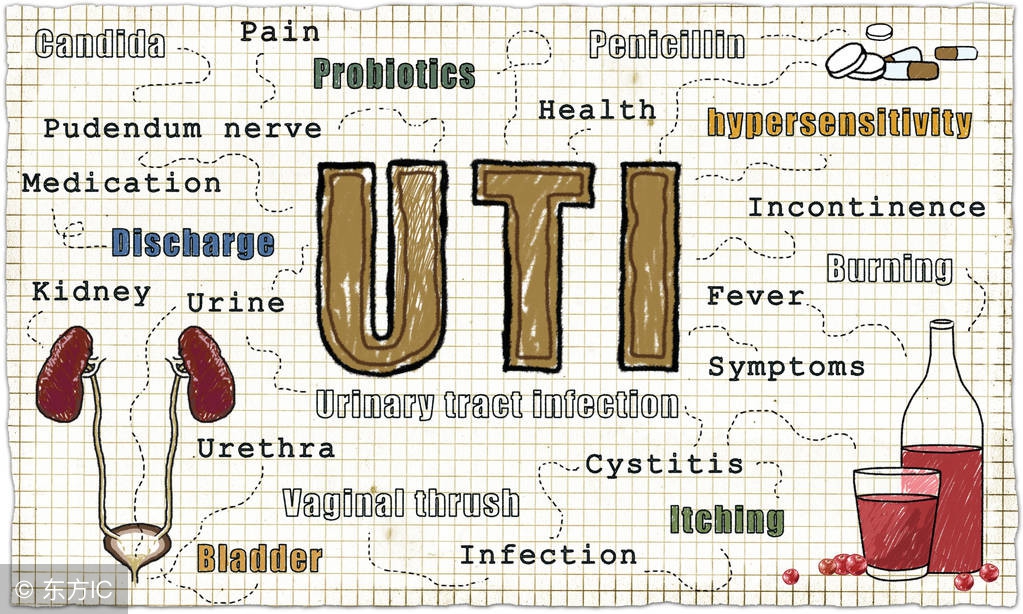 药物引起的尿路感染怎么办,尿路感染不及时治疗会怎样