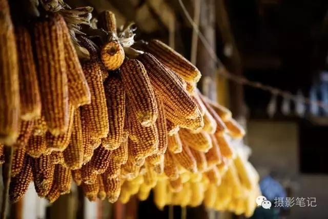 对焦模式及技巧必知,新手对焦入门基础知识