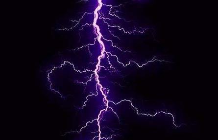 云南7名儿童采菌雷击4死3伤,云南7名儿童捡菌被雷击