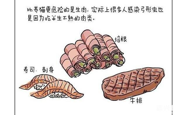 关于弓形虫病的问题,弓形虫容易误诊吗