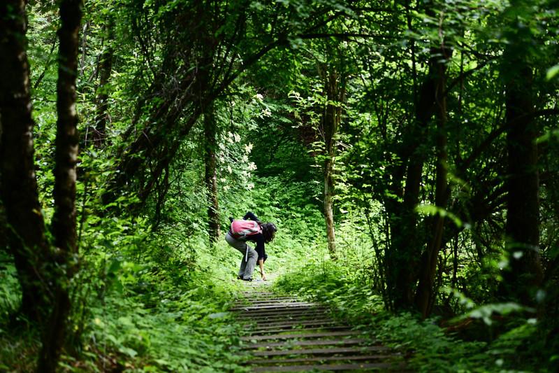 茂县古羌城传承美玉,茂县古羌城建筑介绍