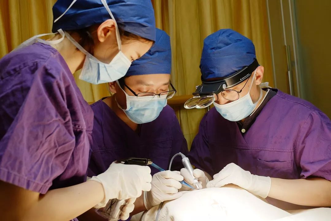 肝移植肾移植骨髓移植,肾移植肝移植乳房能移植吗