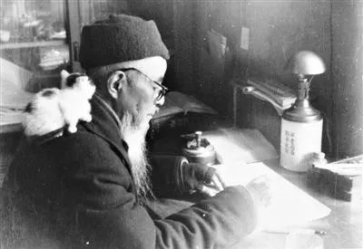 丰子恺护生画集最后一幅画是什么,丰子恺护生画集的护身是什么意思