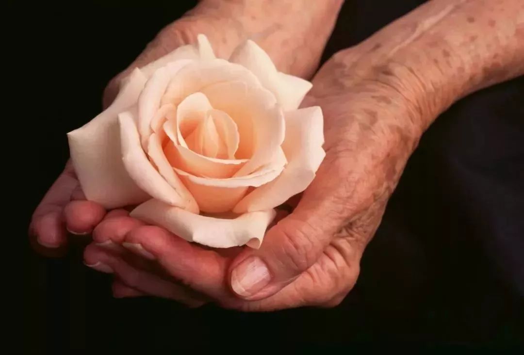 女人绝经前十年丧失生育能力吗,24岁突然绝经为什么