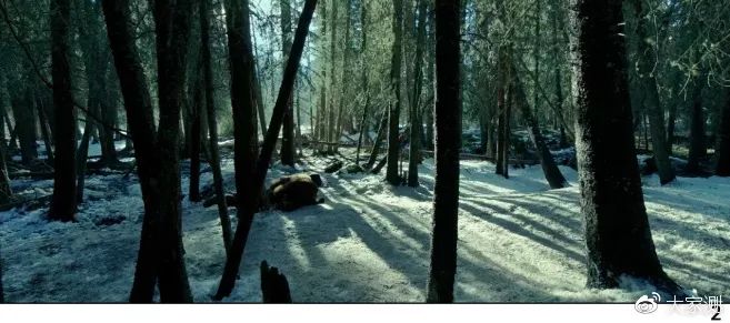 非凡体验完整视频,非凡体验在线观看