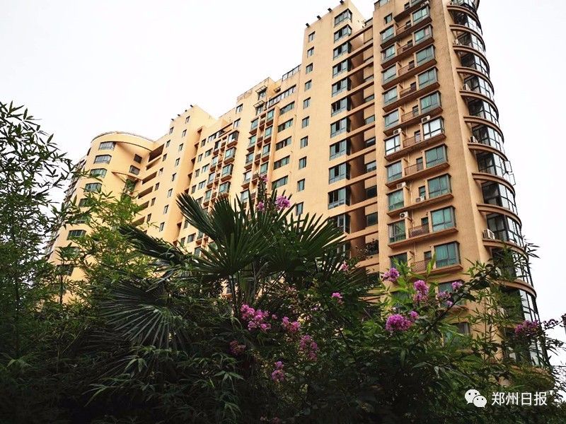 “星”“新”相印：星联芒果一相逢便胜却人间无数