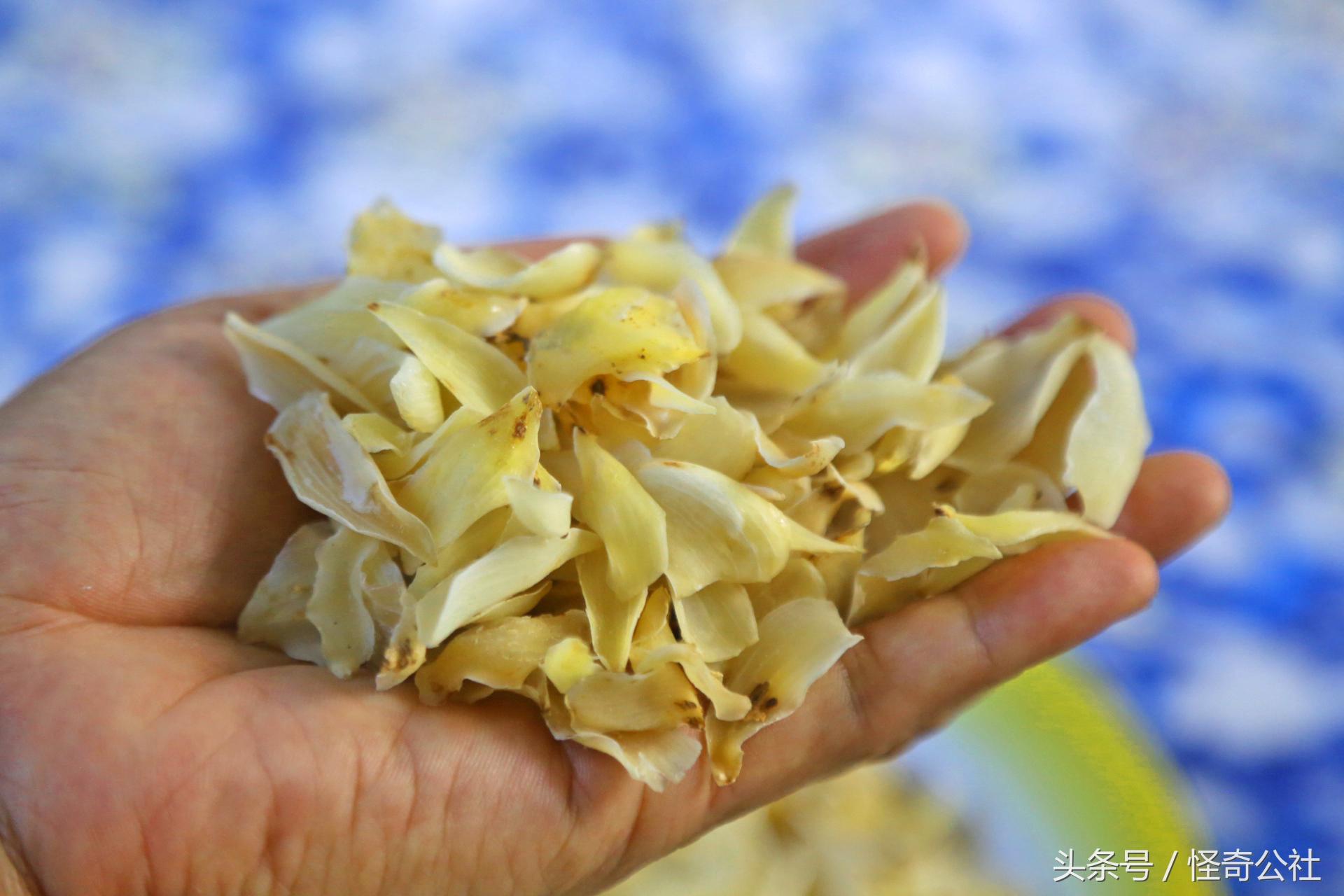 宜昌新鲜百合,宜昌百合新鲜