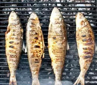 火山热海体验感受,清凉一夏海边避暑