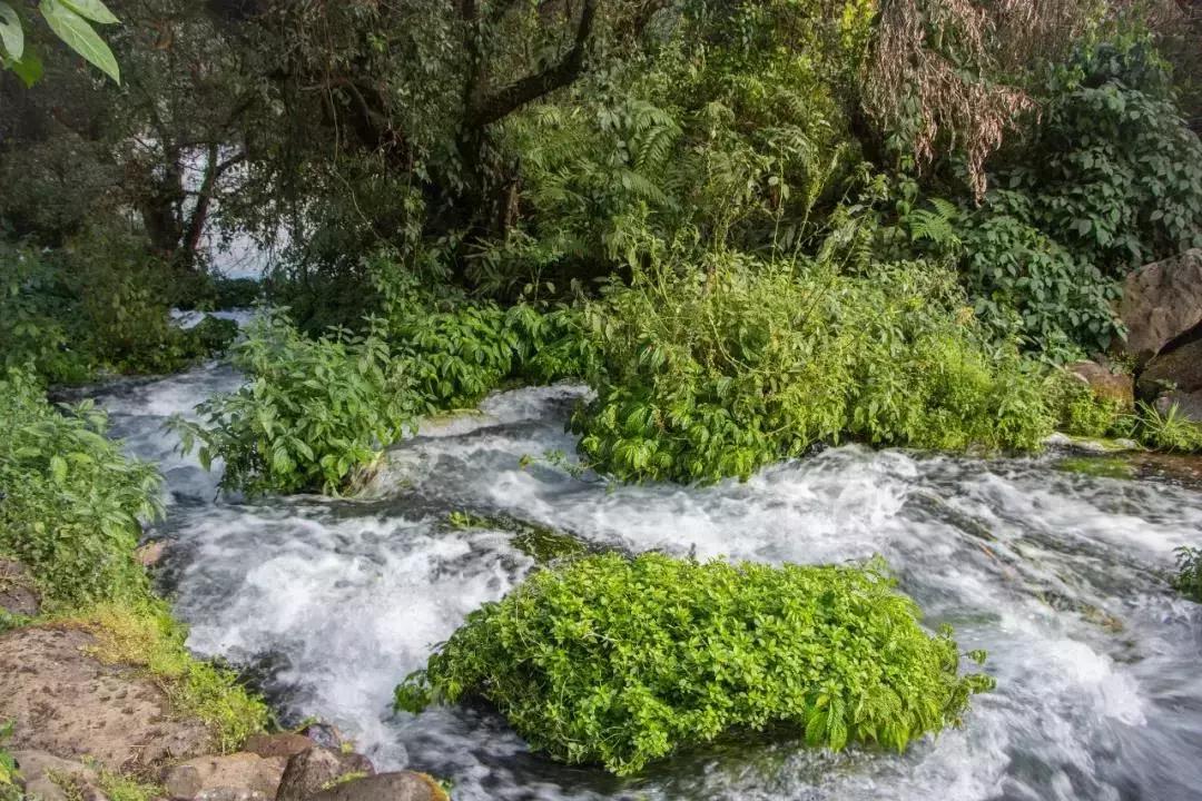 火山热海体验感受,清凉一夏海边避暑