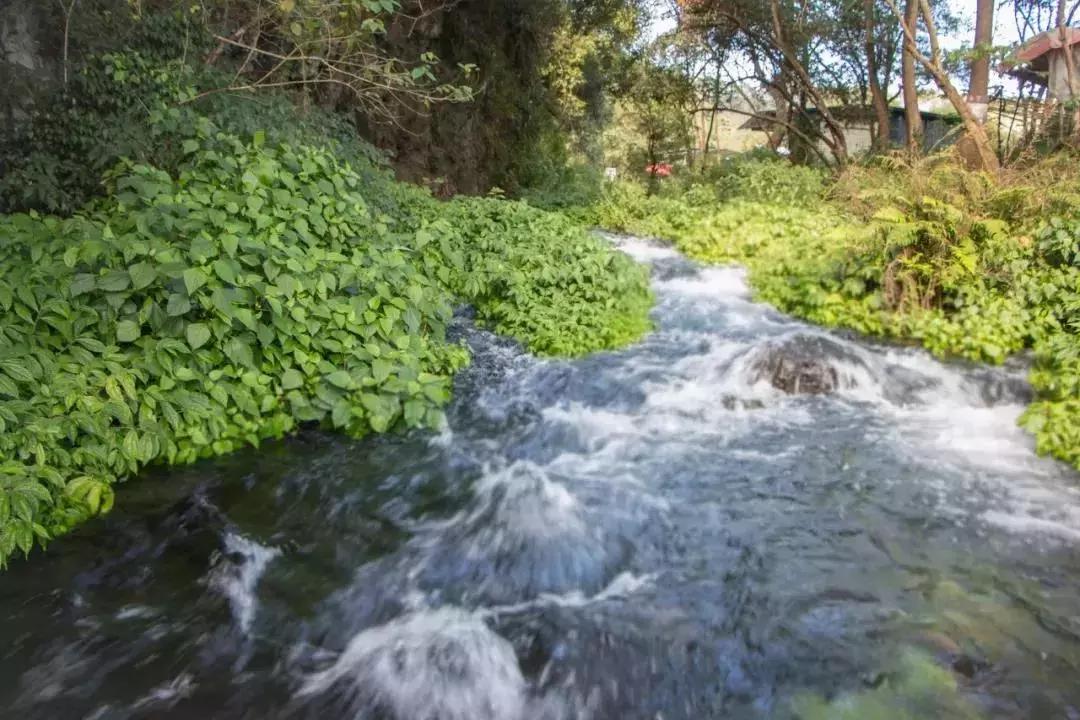 火山热海体验感受,清凉一夏海边避暑