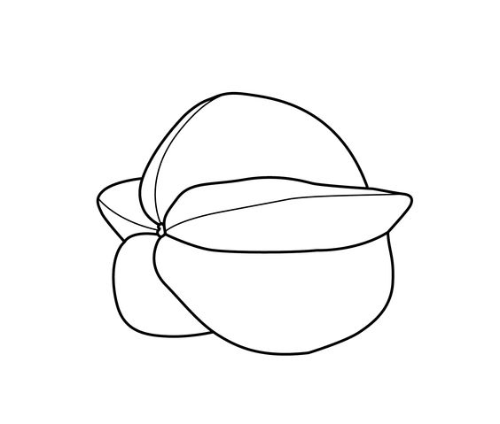 100个水果蔬菜简笔画,各种水果简笔画手稿
