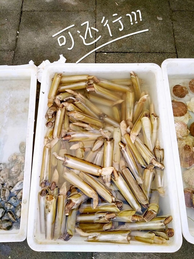 鲅鱼圈打卡地点排行榜,鲅鱼圈必打卡景点